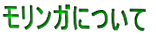 モリンガについて