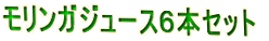 モリンガジュース６本セット